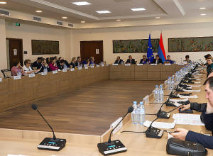 Состоялось третье заседание Комитета партнёрства РА-ЕС