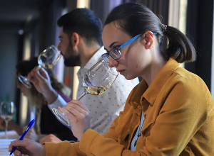 Կայացել է «Հայաստանի գինիներ». Կույր համտես մրցույթ