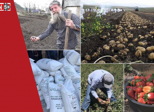 Գյուղացին մնացել է առանց պարարտանյութի, դիզվառելիքի և սերմացուի. «Region 5+»-ի անդրադարձը մարզերից