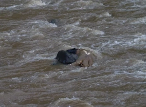 Քաղաքացու դի են դուրս բերել ջրատարից