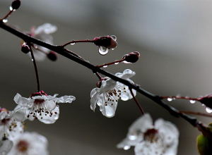 Ինչ եղանակ է սպասվում առաջիկա օրերին