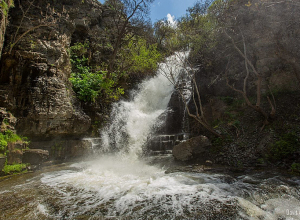 80 հազար եվրո՝ «Խոսրովի անտառ» պետական արգելոցին