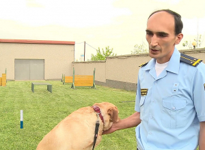 ՊԵԿ մաքսանենգության դեմ պայքարի վարչության շնագիտական կենտրոնը կարդիականացվի