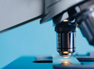 Ավստրիայում հոսպիտալացվել է կապկի ծաղկի կասկածանքով առաջին հիվանդը