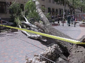 Վնասներ` քամու հետևանքով
