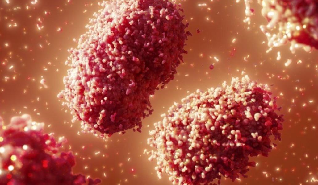 monkeypox-virus_վիրուս-կապիկի-ծաղիկ