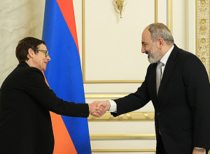 Նիկոլ Փաշինյանն ընդունել է Ֆրանսիայի դեսպան Անն Լույոյին