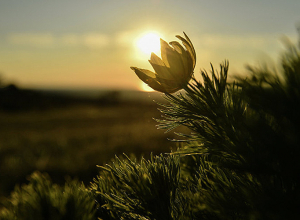 Температура поднимется ещё выше
