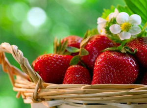 Ինչ եղանակային կանխատեսումներ կան առաջիկա օրերի համար