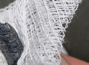 Подробности убийства в Ташире: один человек был арестован