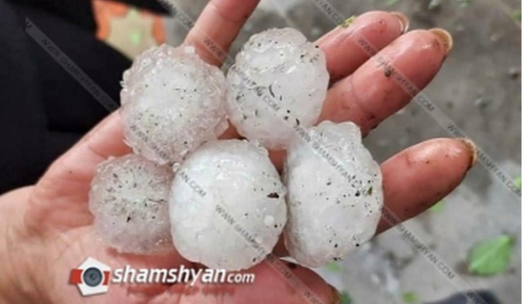 a20494b5c9260be4d40971e7b950919b_v1.thumb