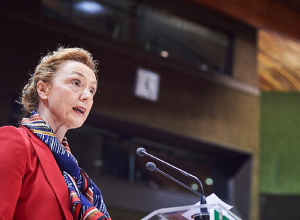 Մտահոգված ենք հայ-ադրբեջանական սահմանին փոխհրաձգության մասին լուրերով․ ԵԽ գլխավոր քարտուղար