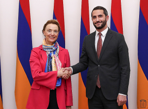 Ռուբեն Ռուբինյանն ընդունել է Եվրոպայի խորհրդի գլխավոր քարտուղարին