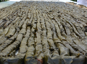 Աշխարհի ամենաերկար տոլման՝ 193,80 մետր