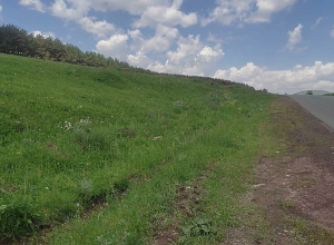 Драка и поножовщина в селе Рья Таза