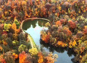 Փրկարարները գտել են Պարզ լճից Գոշ գյուղ տանող ճանապարհին Ֆրանսիայի մոլորված քաղաքացիներին