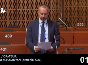 Выступление Эдуарда Агаджаняна в ПАСЕ