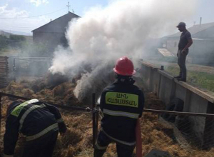  Սարակապ գյուղում այրվել է մոտ 310 հակ անասնակեր