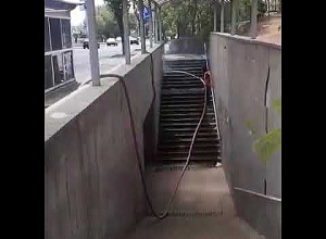 Ինչպես են լվանում անցումները