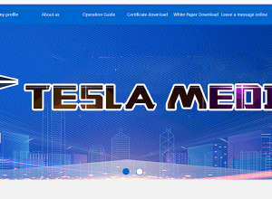 Վրաստանում հույս ունեն՝ Tesla-ն կվերաբացվի․ aliq.ge