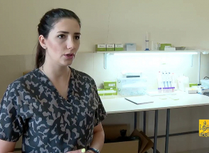 Թափառող շների քնեցումն արվում է բացառապես լեյշմանիոզ, ժանտախտ և անբուժելի հիվանդությունների դեպքում