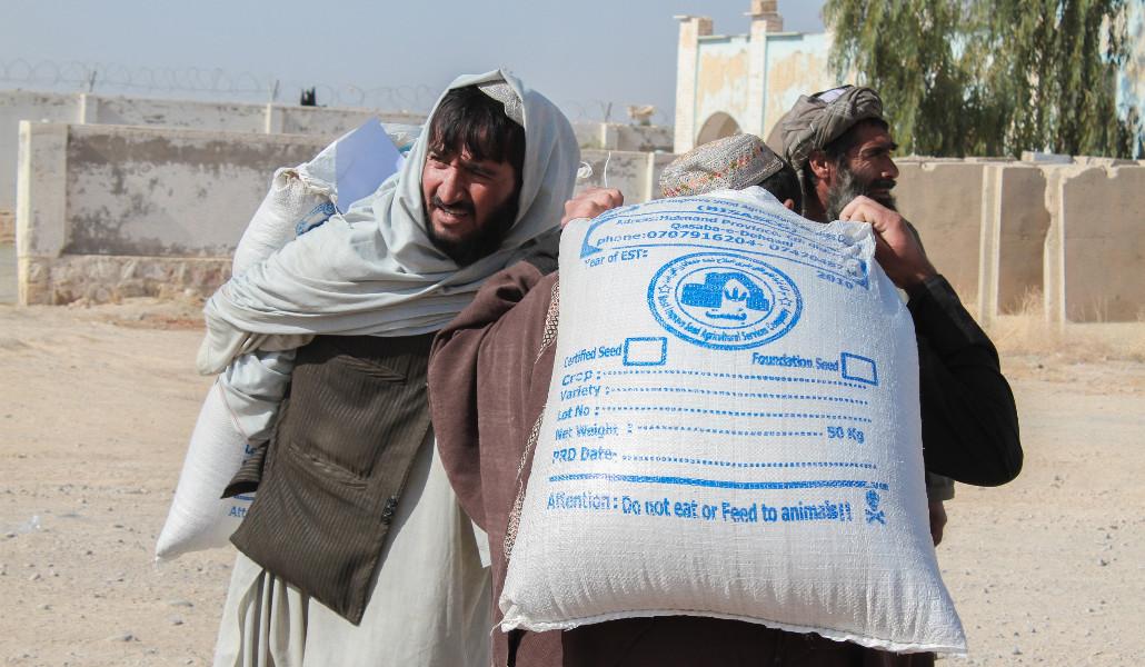PO_AFG_20211125_034