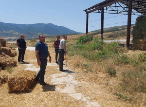 Կեր են կուտակում