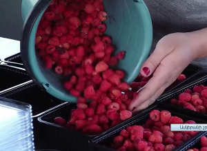 Նախագահ Հարությունյանն Ասկերանի շրջանում ծանոթացել է ժամանակակից այգիների հնարավորություններին