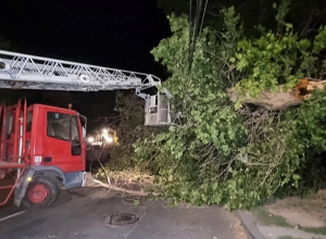 Քամու հետևանքները․ կոտրվել են ծառեր և պոկվել էլեկտրական լարեր