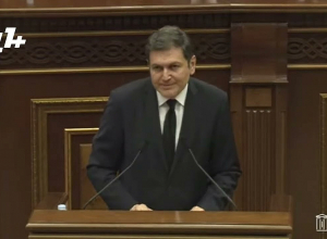 Наша комиссия не была в курсе этого вопроса, отложите его: Агаджанян – замминистра ИД