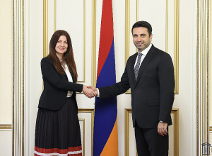 Ալեն Սիմոնյանը հանդիպել է Սերբիայի արտակարգ եւ լիազոր դեսպանին
