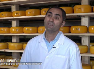 Հոլանդական պանիր՝ հայկական հումքով