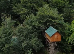 Գիշերակացը ծառերի վրա է՝ տնակներում