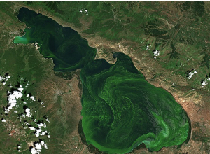 Սևանա լիճ թափվող մի շարք գետեր աղտոտված են կենսածին նյութերով․ ՇՄՆ
