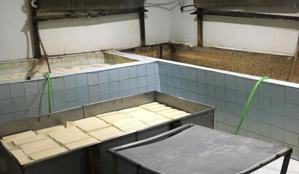 294726228_411678954329829_4897343419785957693_n