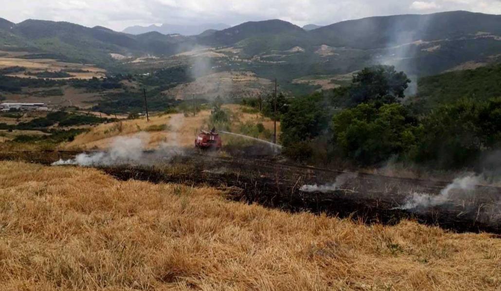 295124028_420786176734223_5823402558853507482_n