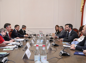 Ադրբեջանական կողմի առավելապաշտական հայտարարությունները խաթարում են ամեն ջանք․ Ռուբինյանը՝ եվրոպացի հյուրերին