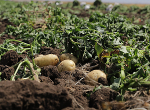 Չհայտարարված այց են կատարել Ստեփանակերտի գիշերօթիկ հաստատություն