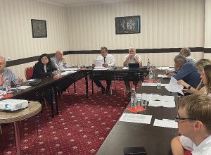 Ինտեգրացիոն գործընթացներին խոչընդոտող խնդիրները շատ դանդաղ են իրենց հանգուցալուծումները ստանում․ՀԱԳՄ գործադիր տնօրեն