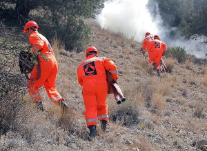 5000 կգ-ն մեկինն էր, նույնքանն էլ հարեւանինը.երկուսն էլ՝ կրակի բաժին