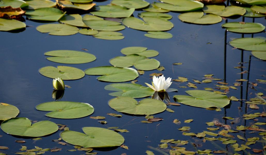 298291386_368085728846136_6489213090002293437_n