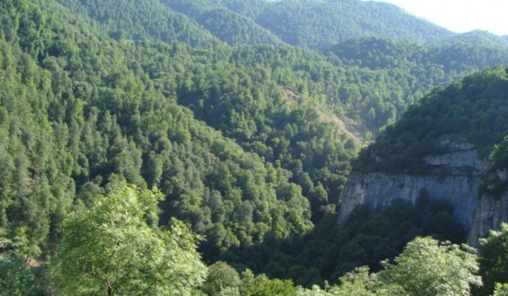 298077542_776318033719093_4938303803116740618_n