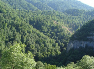 Փրկարարները Ենոքավան գյուղի հանգստյան գոտու հարակից անտառում հայտնաբերել են մոլորված 19 քաղաքացու