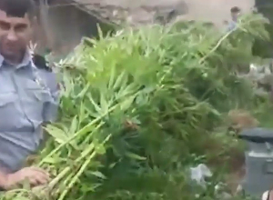 Ոստիկանները խոշոր չափի թմրանյութ են հայտնաբերել