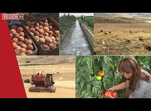 Ի՞նչն է խանգարում Հայաստանում գյուղատնտեսության զարգացմանը. Region 5+