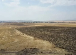 Բացահայտվել են 4,5 մլրդ դրամի հողատարածքների հափշտակության դեպքեր. մեղադրանք է ներկայացվել 6 անձի