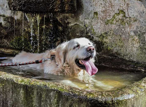 Температура повысится еще на 2-4 градуса, ожидается жара до +40