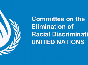 ՄԱԿ-ում արձանագրվել են 2020 թ․ Ադրբեջանի կողմից իրականացվող մարդու իրավունքների կոպիտ խախտումների դեպքերը