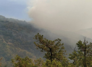 Իջևանի գինու գործարանի մոտակայքում հրդեհաշիջման աշխատանքները վերսկսվել են