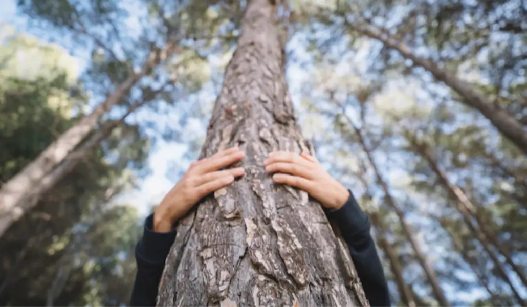 unrecognizable-person-hugging-tree_23-2147770926